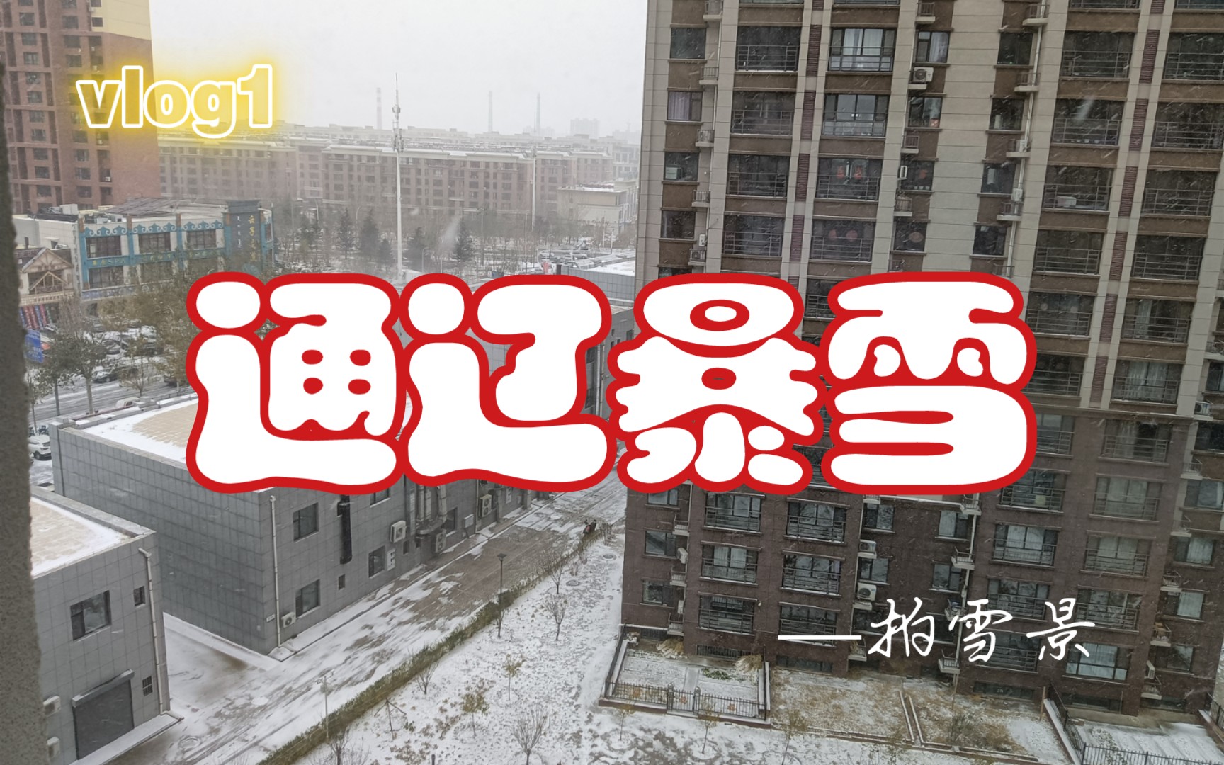 2021年11月6日:通辽市又下了一场暴雪哔哩哔哩bilibili