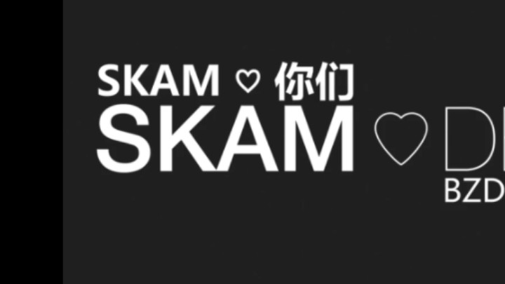 《Skam》挪威版哔哩哔哩bilibili