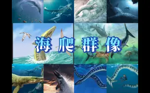 Download Video: 【填词·翻唱】海龙群像传（原曲：《百战成诗2023》）