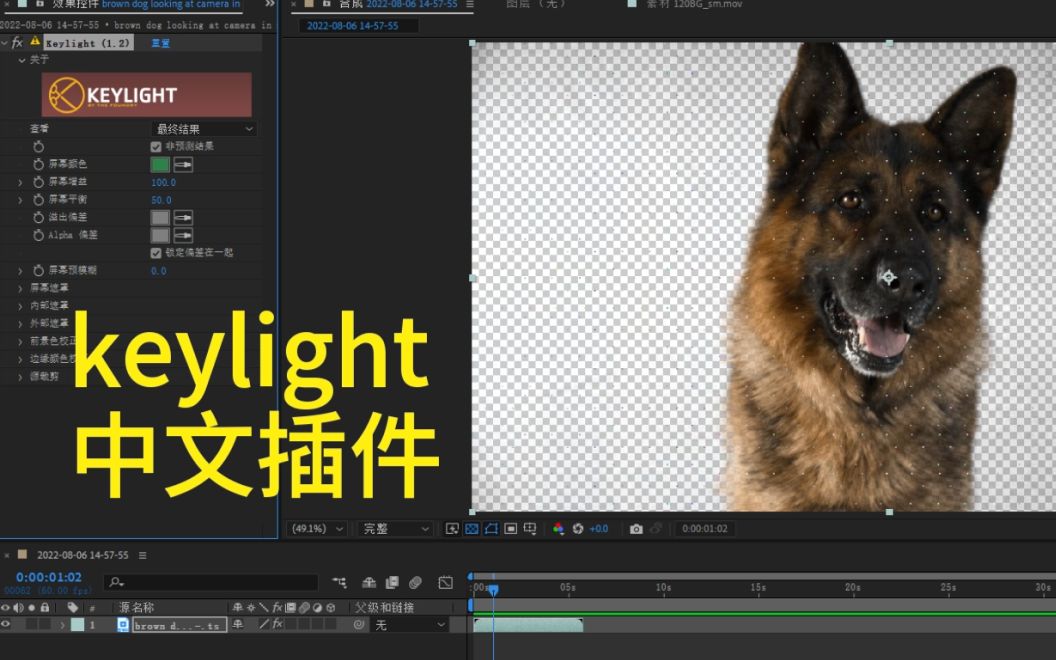 AE插件 keyingkeylight 中文 安装教程 扣像软件哔哩哔哩bilibili