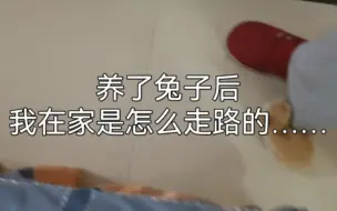 Download Video: 在被不小心踢飞无数次后依然不长记性……