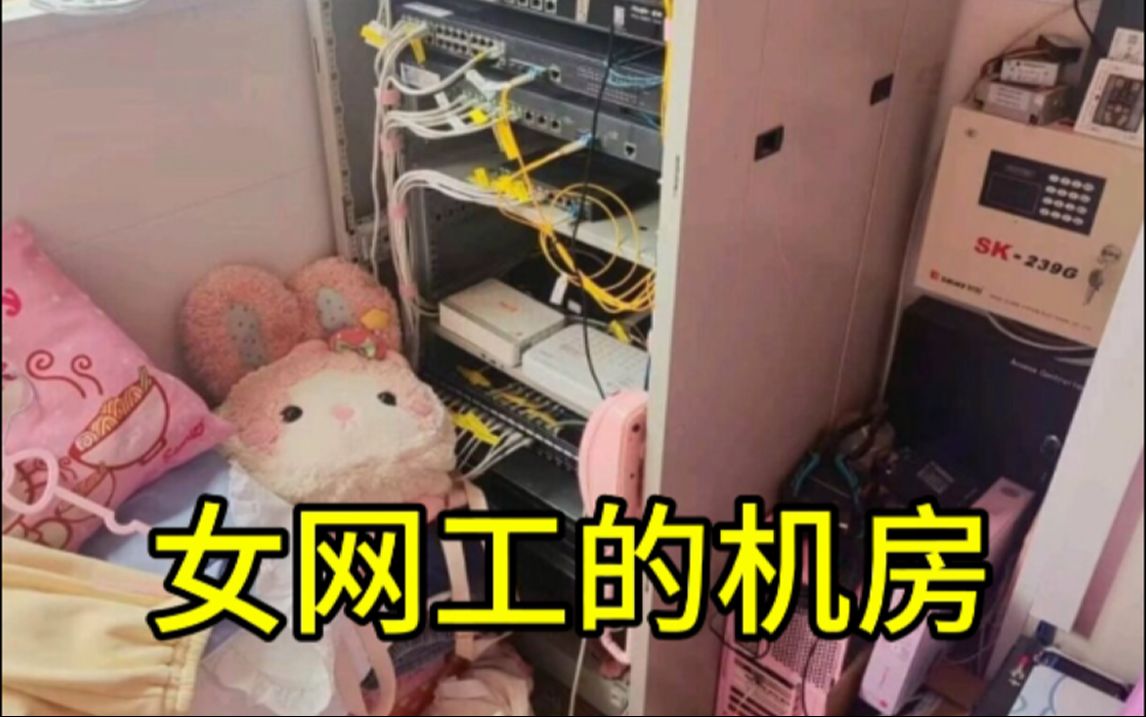 当网工是女生 女网工的机房 工作起来乘风破浪 HCIP+HCIA+HCIE 华为认证 题库哔哩哔哩bilibili