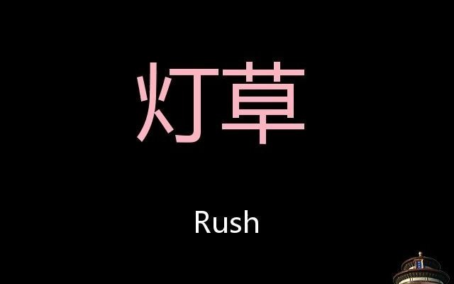 [图]灯草 Chinese Pronunciation Rush