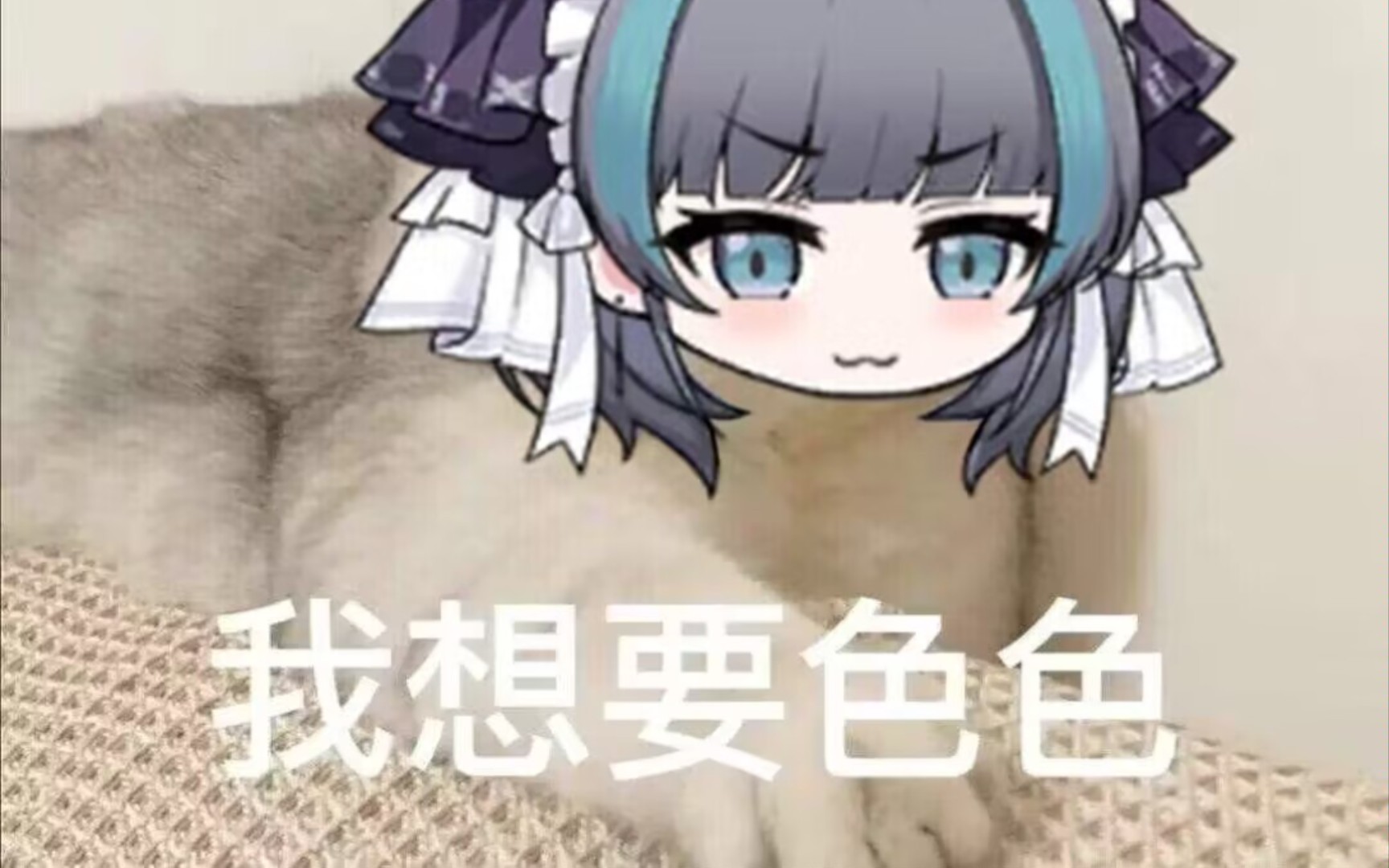 碧蓝航线柴郡表情包