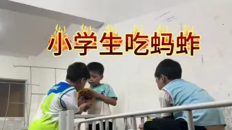 Download Video: 小学生吃蚂蚱 几个小学生在宿舍里吃蚂蚱吃得津津有味