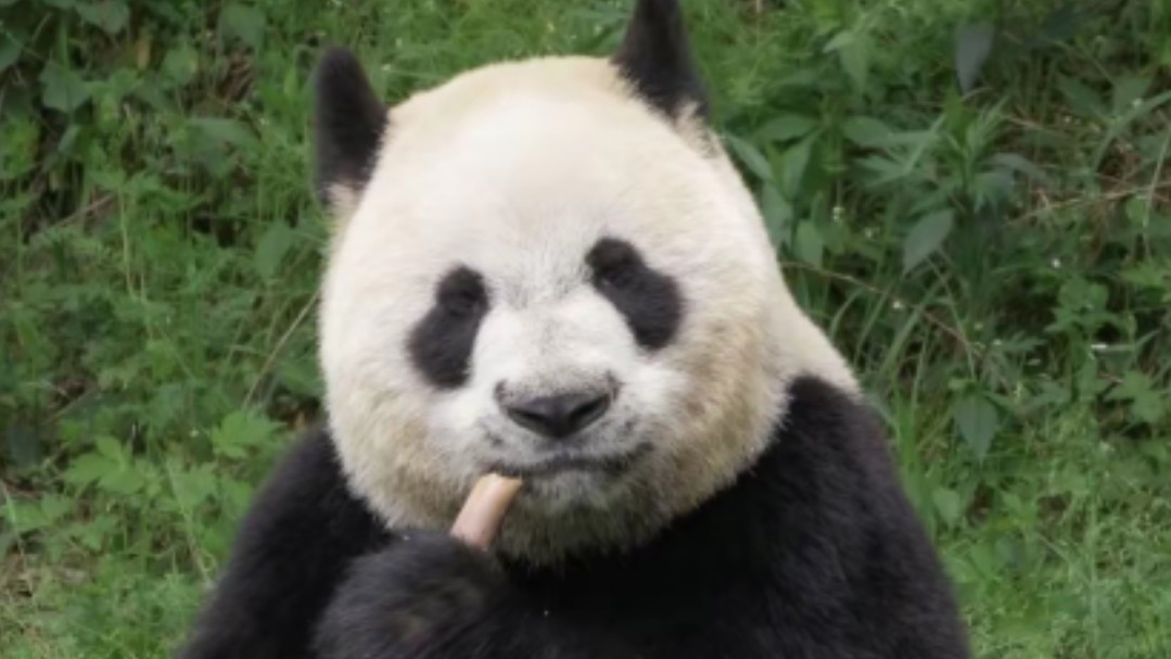 秦华:你的甜美让我觉得恶心