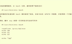 C语言学习531 Bash Shopt 哔哩哔哩