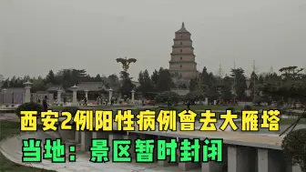 Tải video: 西安2例阳性病例曾去大雁塔 当地：景区暂时封闭