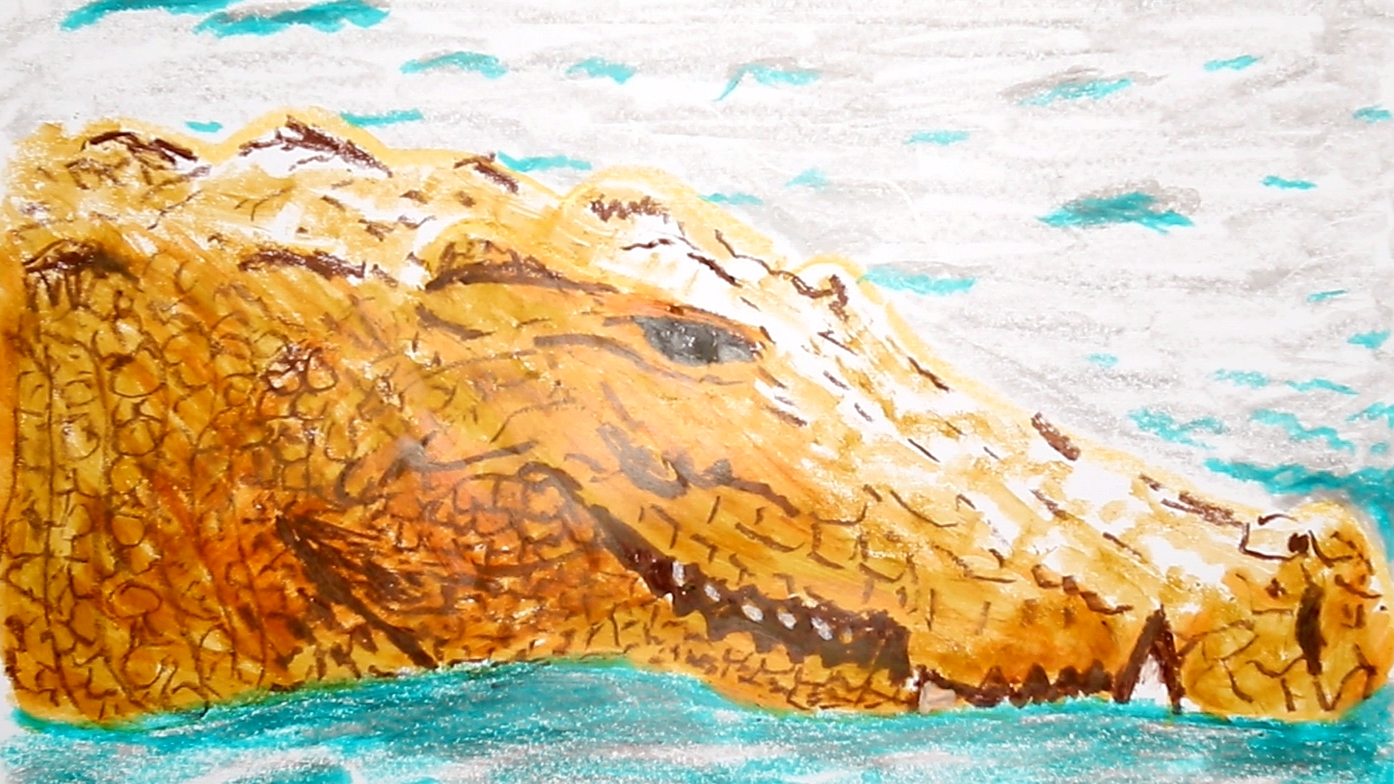 应小粉丝要求,我来用油画棒给大家画一只凶猛的鳄鱼_哔哩哔哩_bili