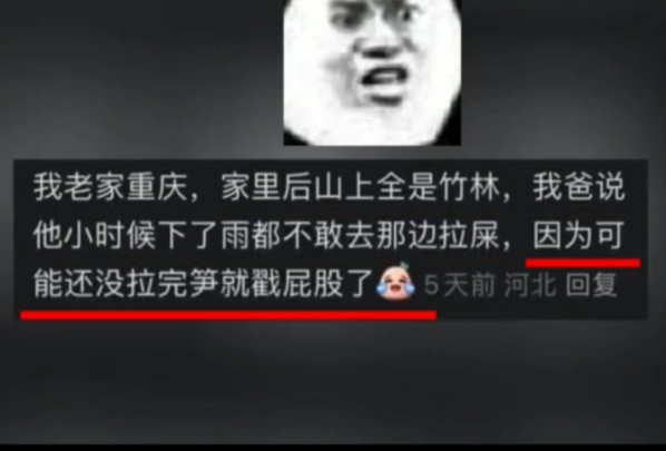 不是竹子真的长这么快吗哔哩哔哩bilibili