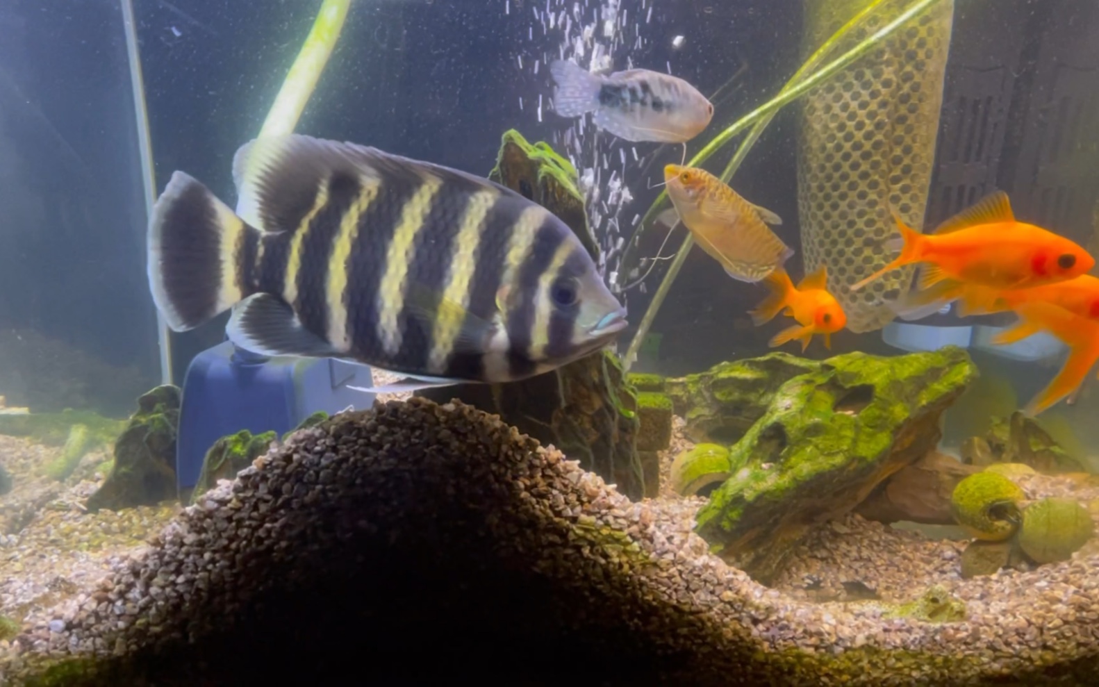 【记录】真是辛苦你了,十间