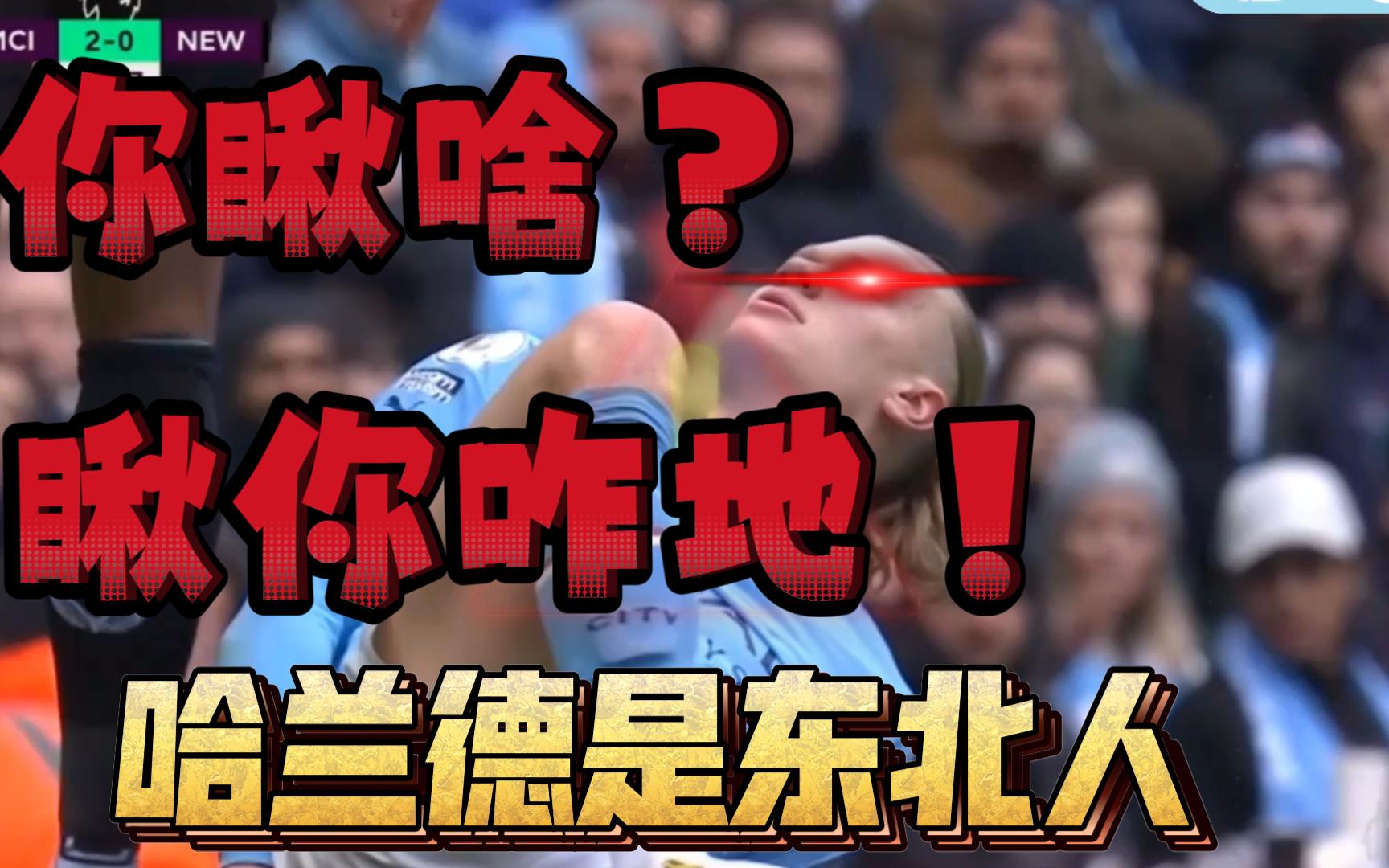 瞅你咋地!挪威在欧洲北部,所以哈兰德也算是东北人!