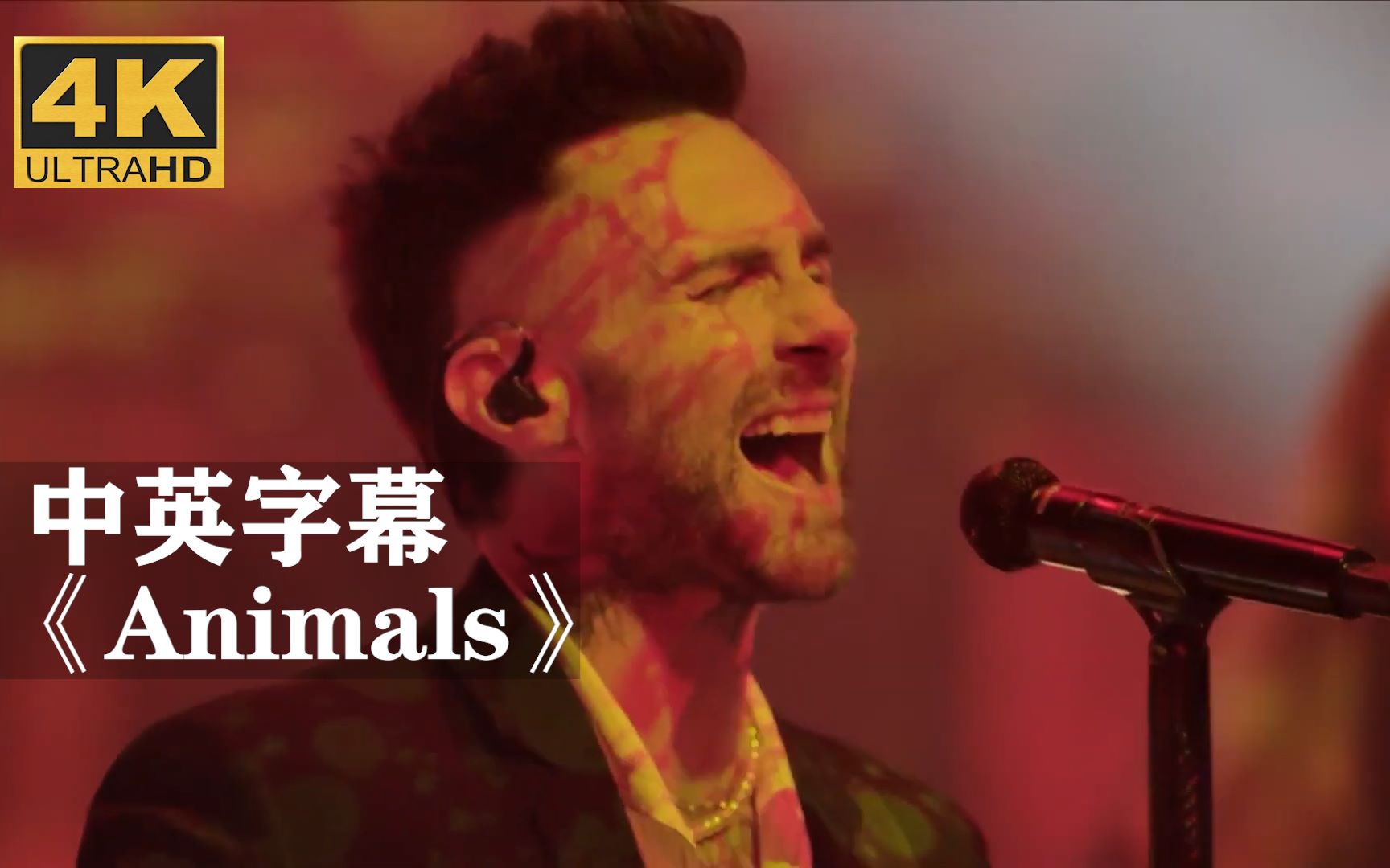 [图]魔力红《Animals》2021现场！！！ Maroon 5马老五