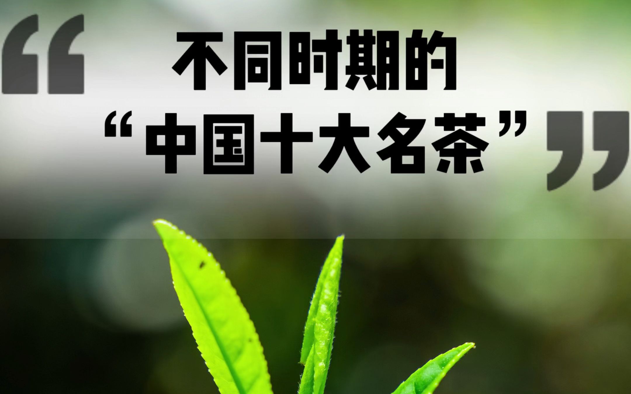 [图]中国十大名茶知多少，你最喜欢喝哪一款？#茶知识#中国十大名茶#干货分享