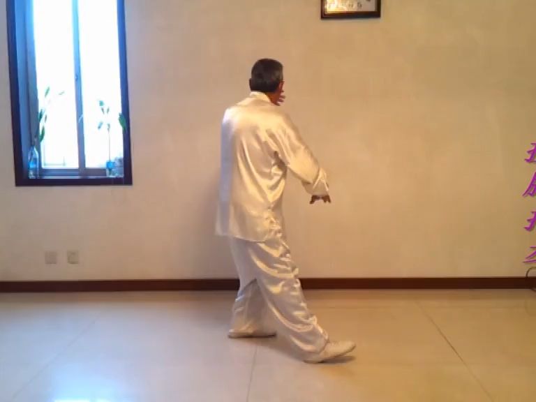 吴式太极拳老架83式(北派)