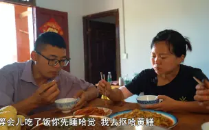 Download Video: 黄瓜茄子正当季，摘点回家做一盘红烧茄子，简单美味又下饭