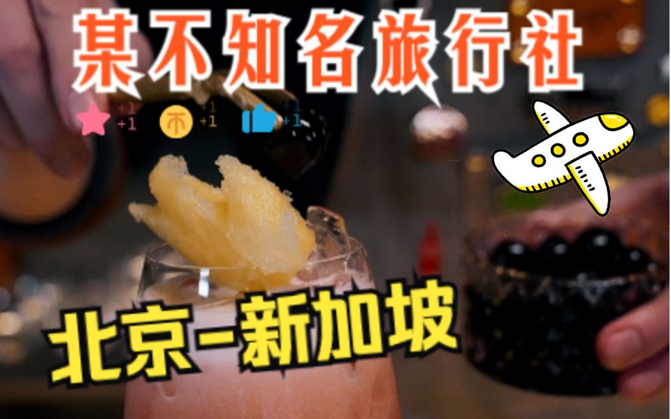 可能会让调酒师心态爆炸的酒——新加坡司令(Singapore Sling)哔哩哔哩bilibili