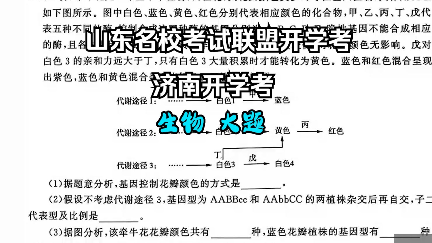 2024年2月 (济南开学考)山东名校考试联盟开学考【大题部分】新高考生物【高中生物】【高考模拟】【艾斯呦丶】哔哩哔哩bilibili