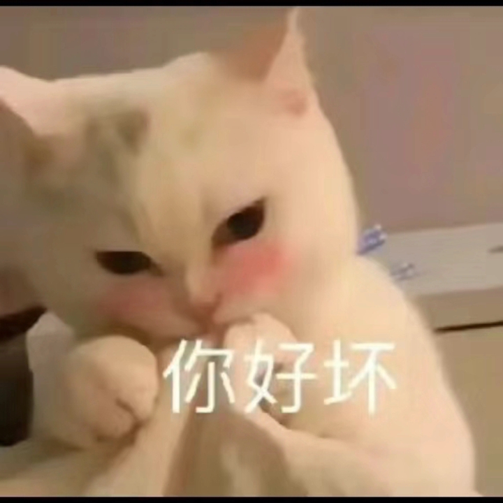 你好坏哔哩哔哩bilibili