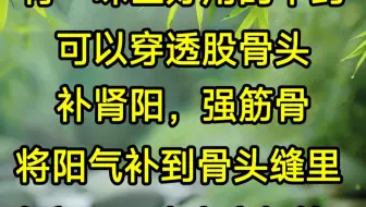 有一味巨好用的中药，可以穿透股骨头，补肾阳、强筋骨，将阳气补到骨头缝里，胯疼、腰膝疼痛都管用！
