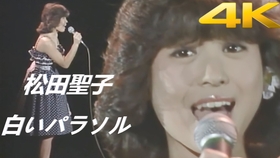 电影主题曲 松田聖子 花一色 野菊のささやき 1981 哔哩哔哩 つロ干杯 Bilibili 电影主题曲 松田聖子 花一色 野菊のささやき 1981 哔哩哔哩 つロ干杯 Bilibili