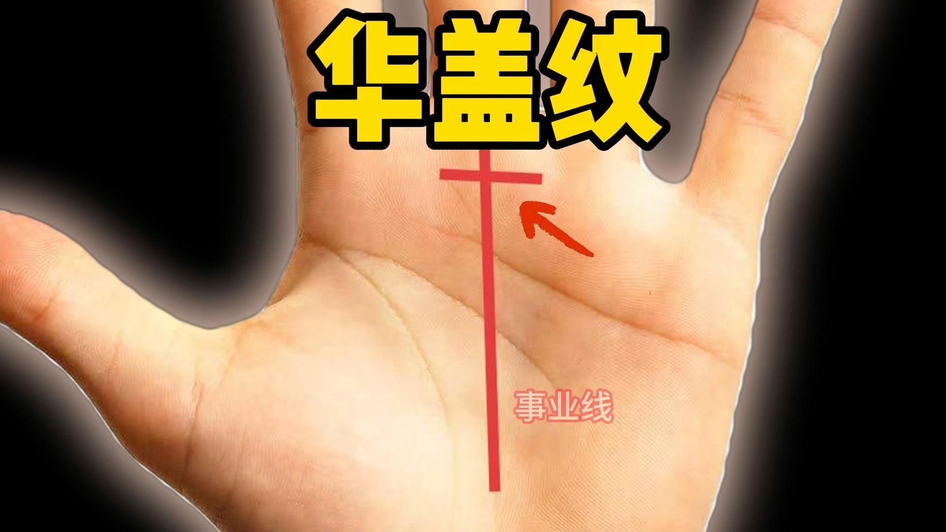 【最强手相掌纹大解析】华盖纹!