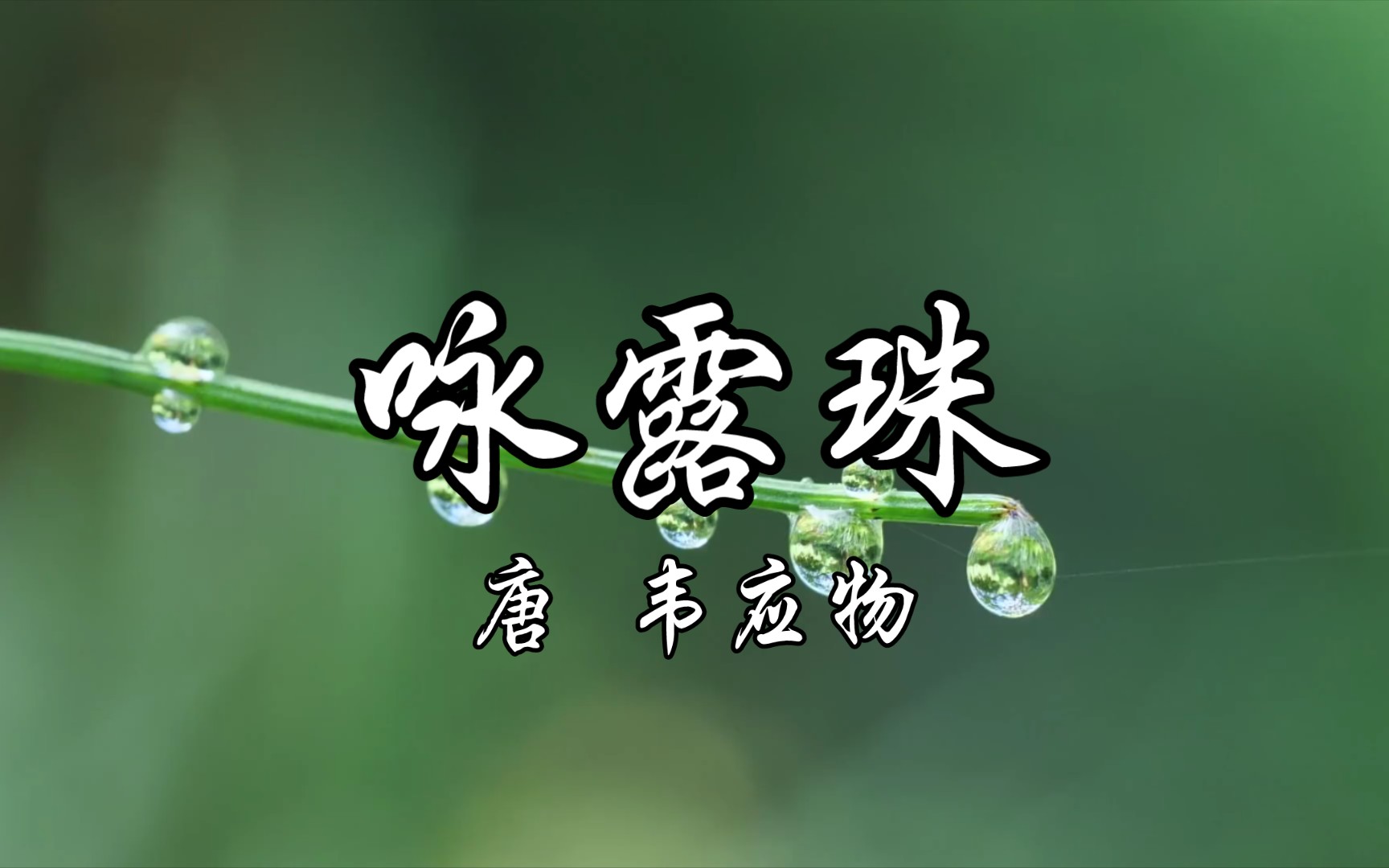 读给你听《咏露珠》唐 韦应物