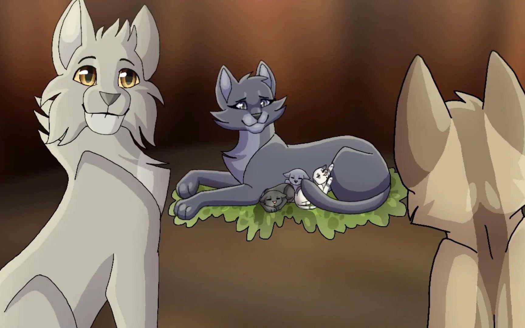 猫武士动画图片