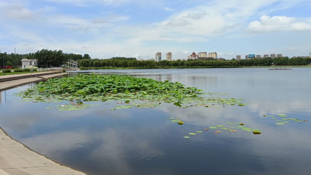夏季郊游(辽中区蒲河风景)