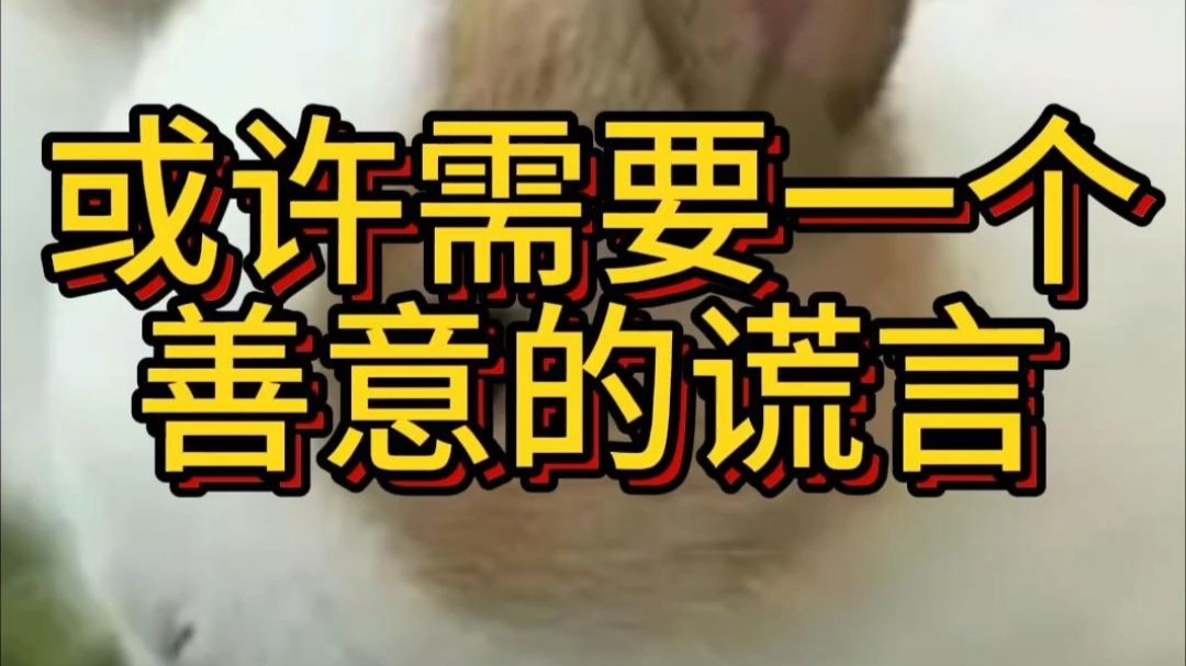 或许需要一个善意的谎言