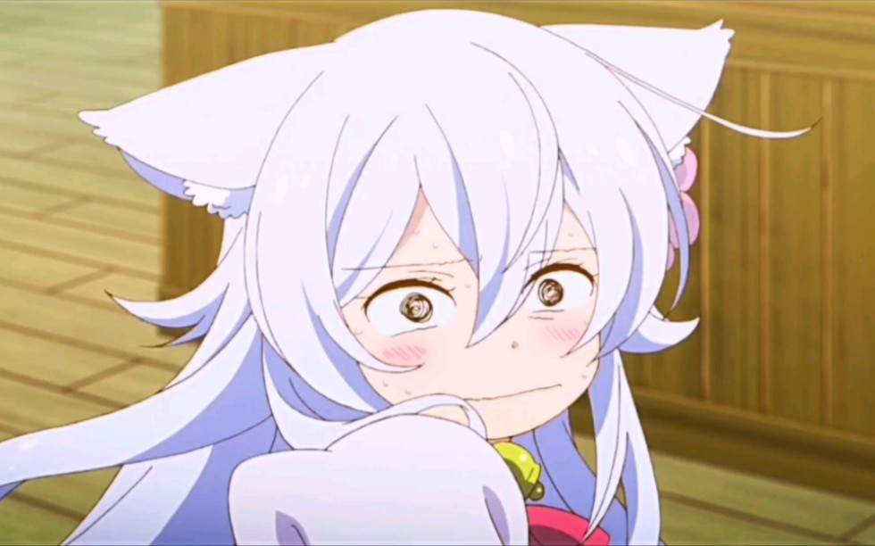 可爱的白毛兽耳娘