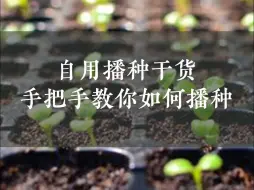 Video herunterladen: 自用播种教程🌱手把手教你如何播种