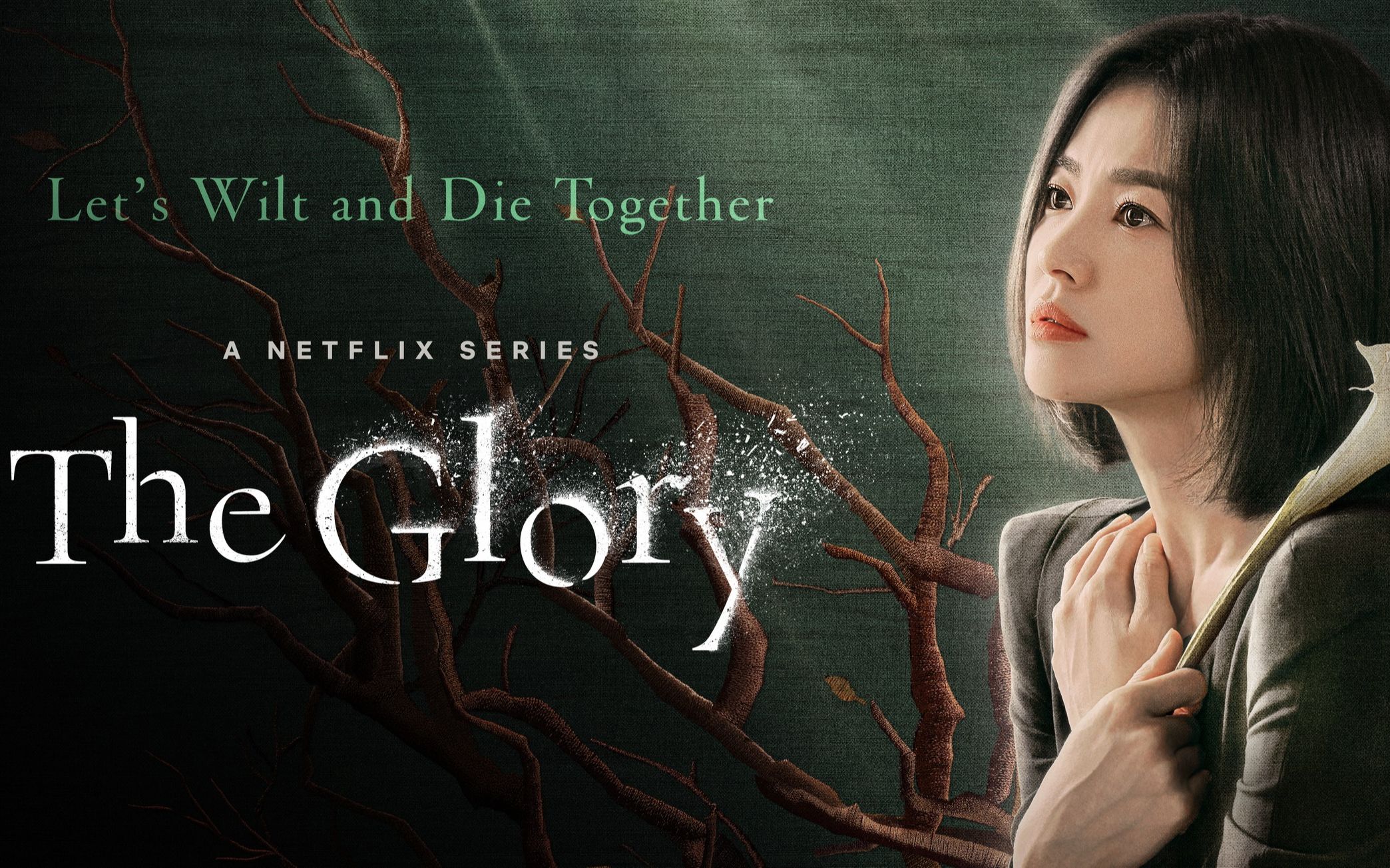 [图]《黑暗荣耀》片头 The Glory