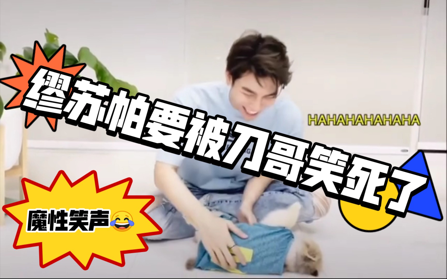 mewchopper缪苏帕控制一下你的笑声哈哈哈笑cry