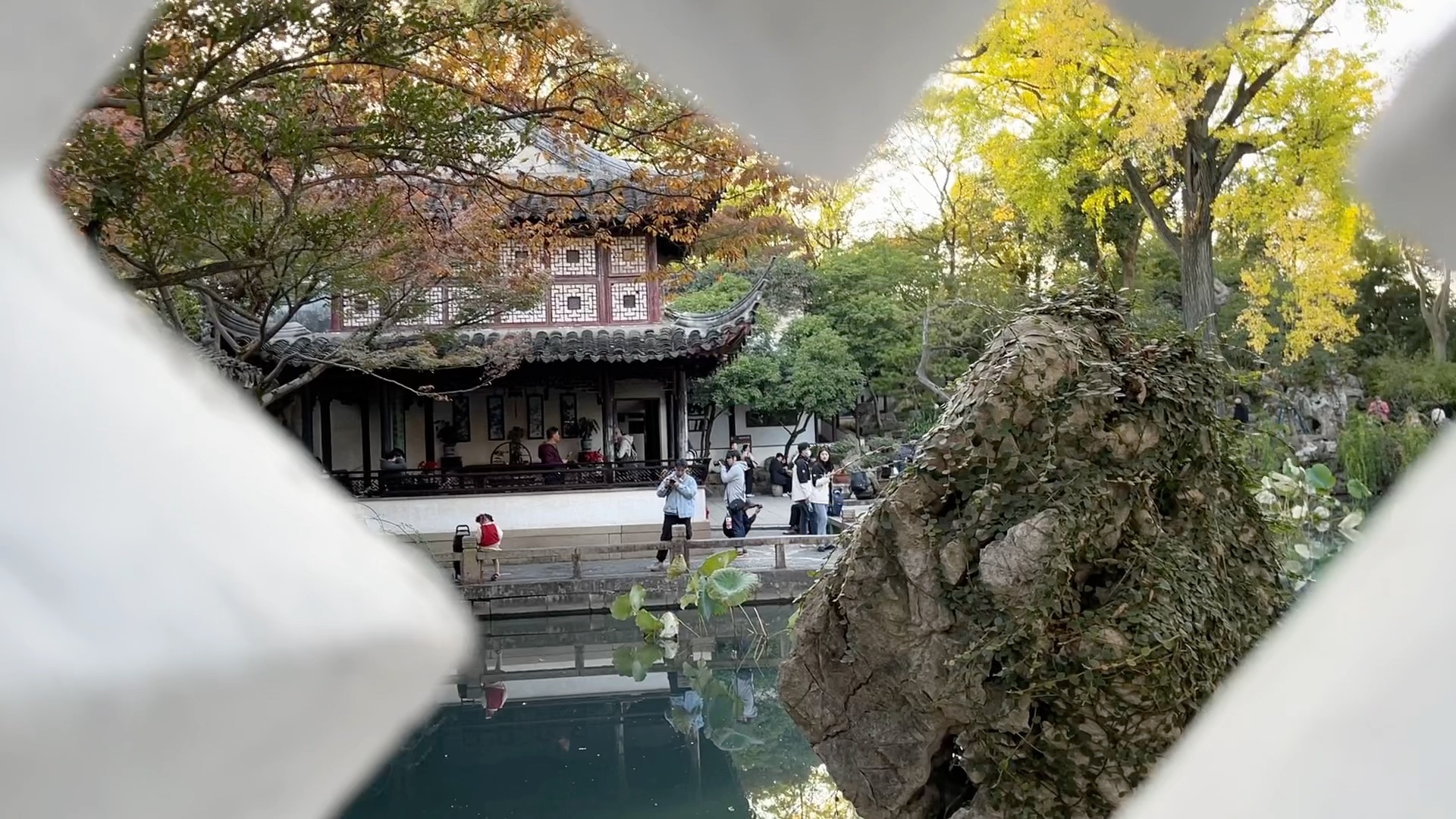 苏州留园,苏式园林的代表,没一点文化还真欣赏不了!