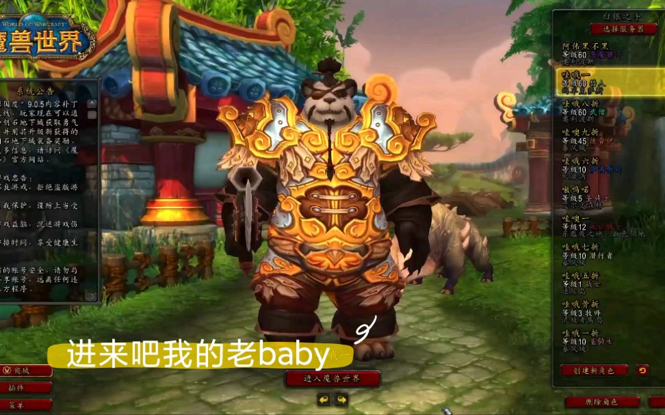 魔兽世界猎人宝宝书大全 七书下天山我的老baby哔哩哔哩bilibiliWOW