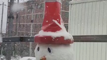 [图]雪花飘落，共赴白头