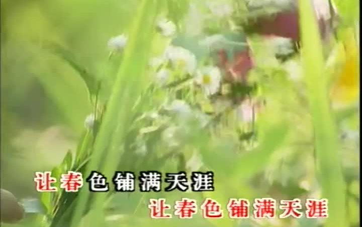 童唱采一束鲜花国语儿歌NCG00835[MVXZ.com]MV下载王哔哩哔哩bilibili