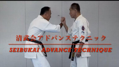 480P/DVDRip】【空手道大师 Karate Master】【1973年】【47集全