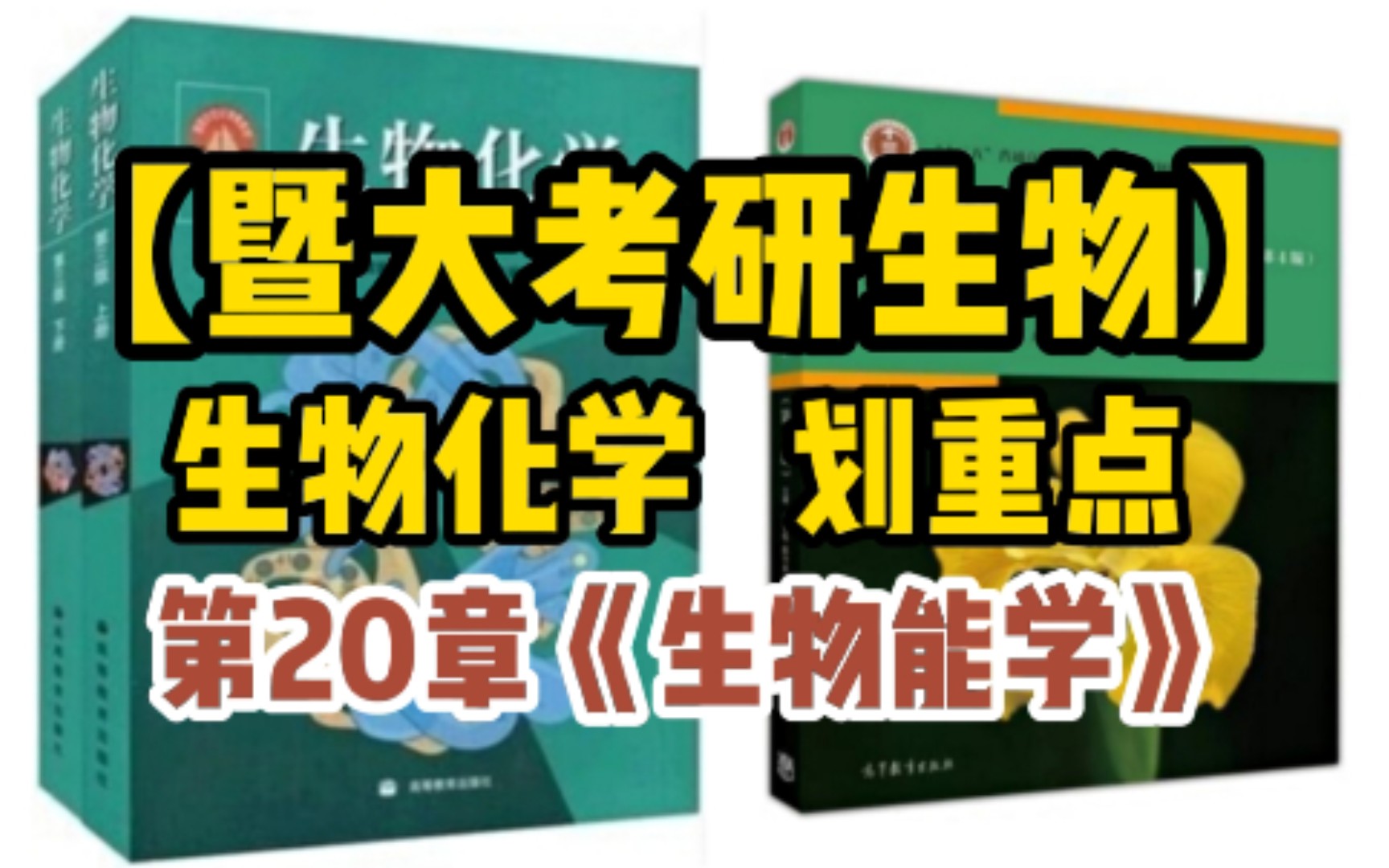 【暨南大学生物考研】生物化学划重点:第20章《生物能学》哔哩哔哩bilibili