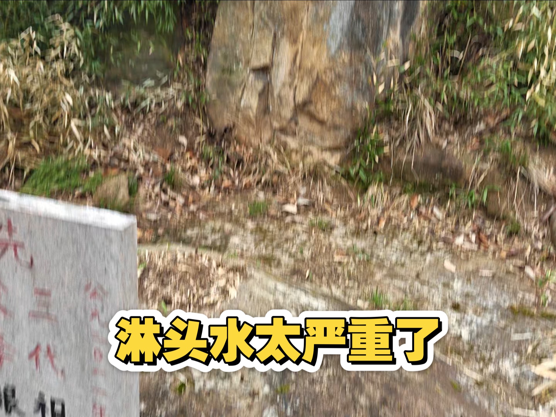 无意中发现的里面竟然很多坟,像公墓一样