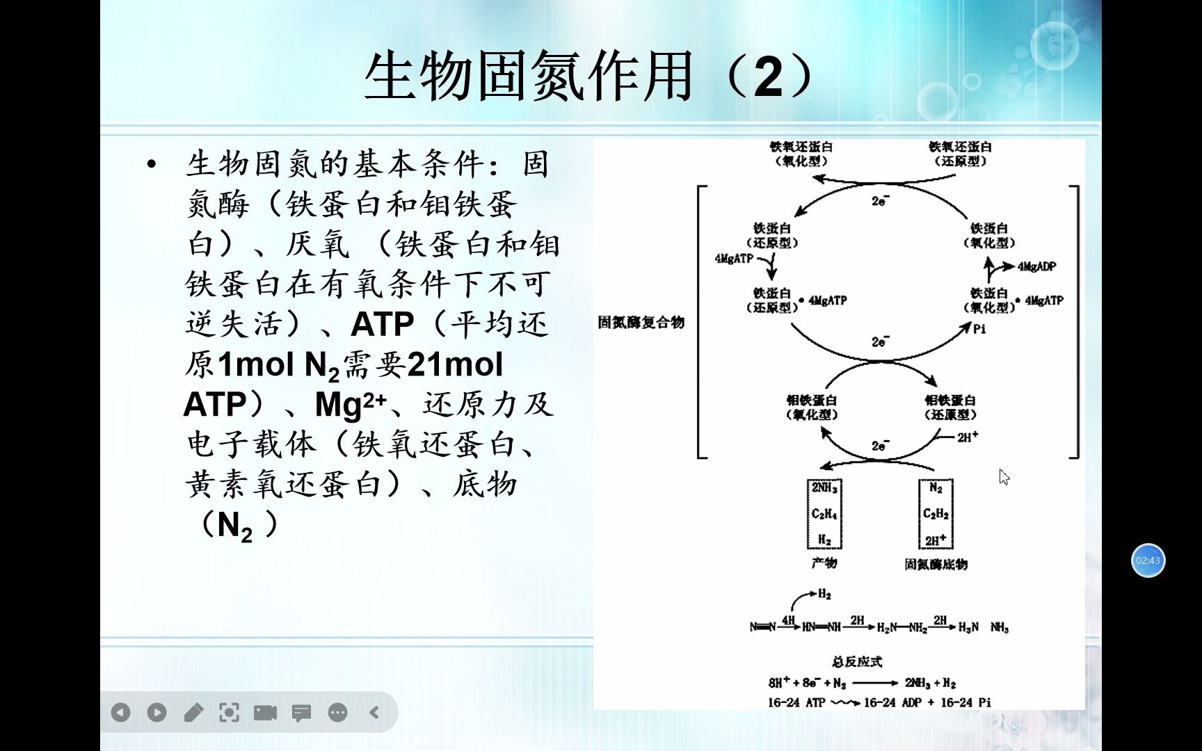 生物竞赛难点88微生物学微生物的生物固氮哔哩哔哩bilibili