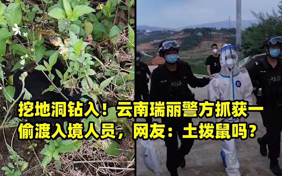 挖地洞钻入!云南瑞丽警方抓获一偷渡入境人员,网友:土拨鼠吗?