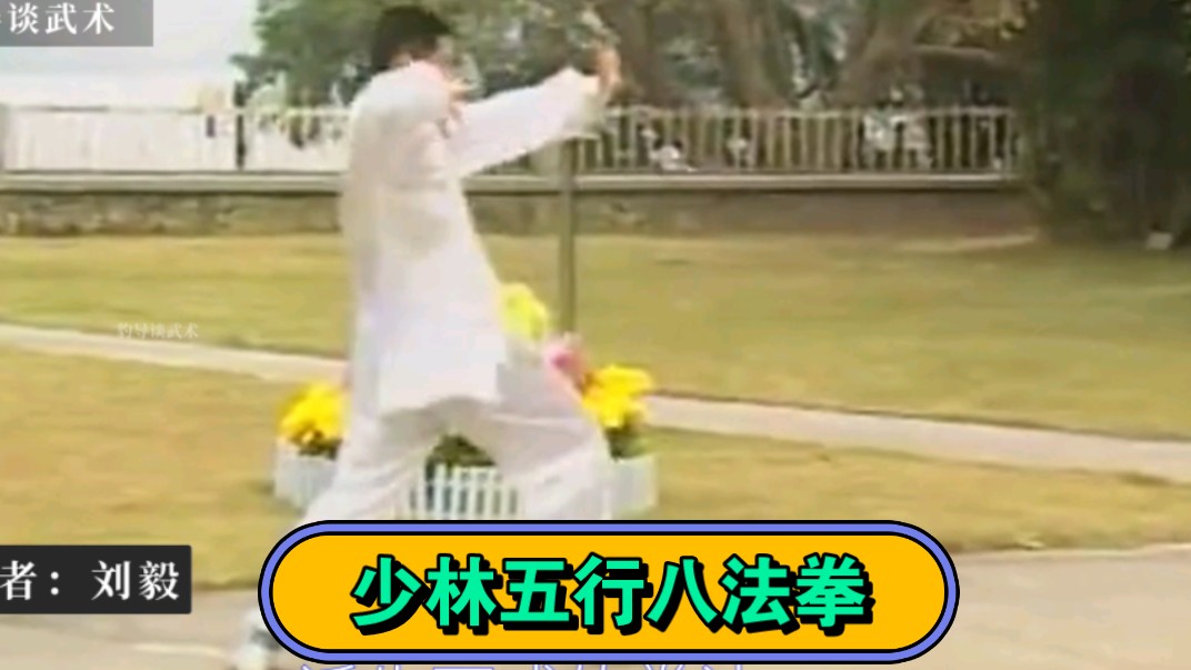 少林五行八法拳,有一些招数,在交流中都有禁用的招式.