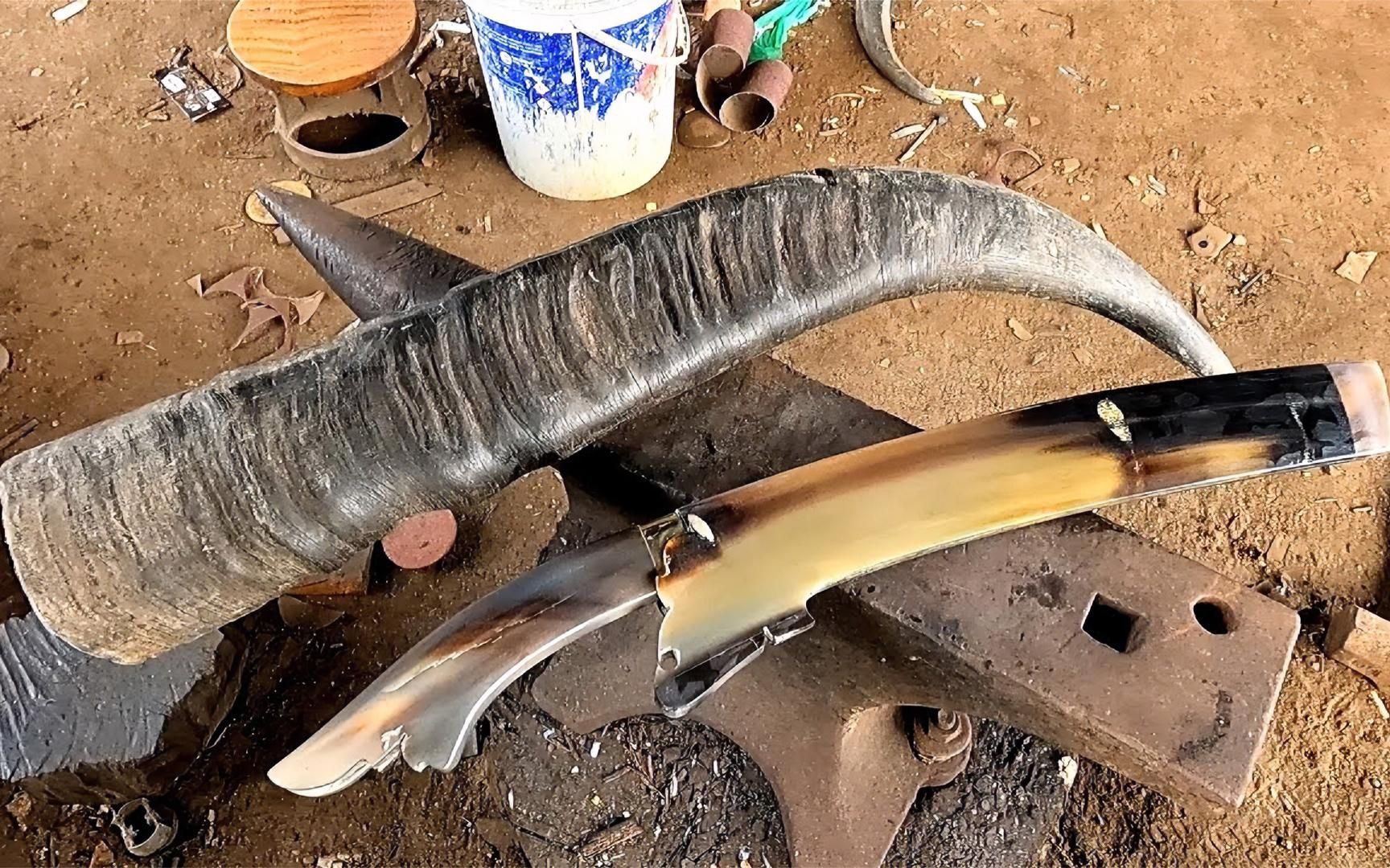 把牛角打磨加工,制造成"精品刀鞘",锻造猎刀,简直是天作之合