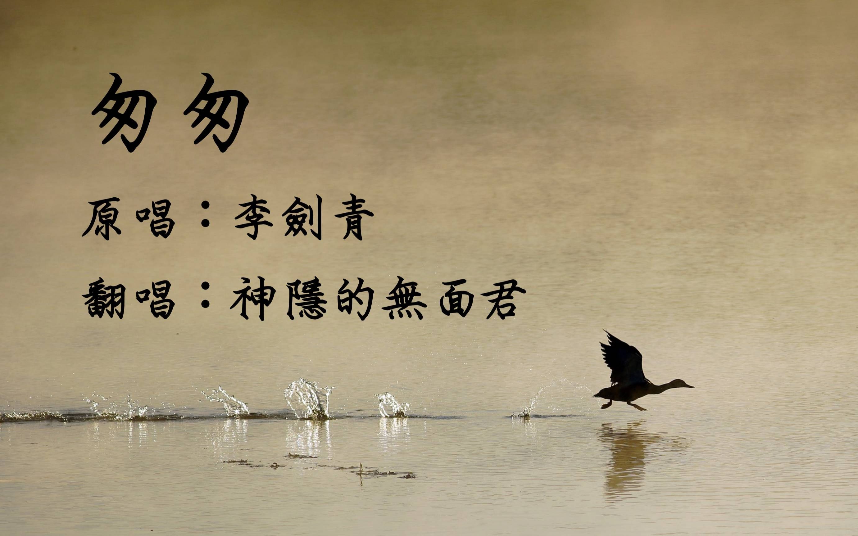【无面君】李剑青《匆匆》|男低音の键盘弹唱|高质量live录屏|附歌词