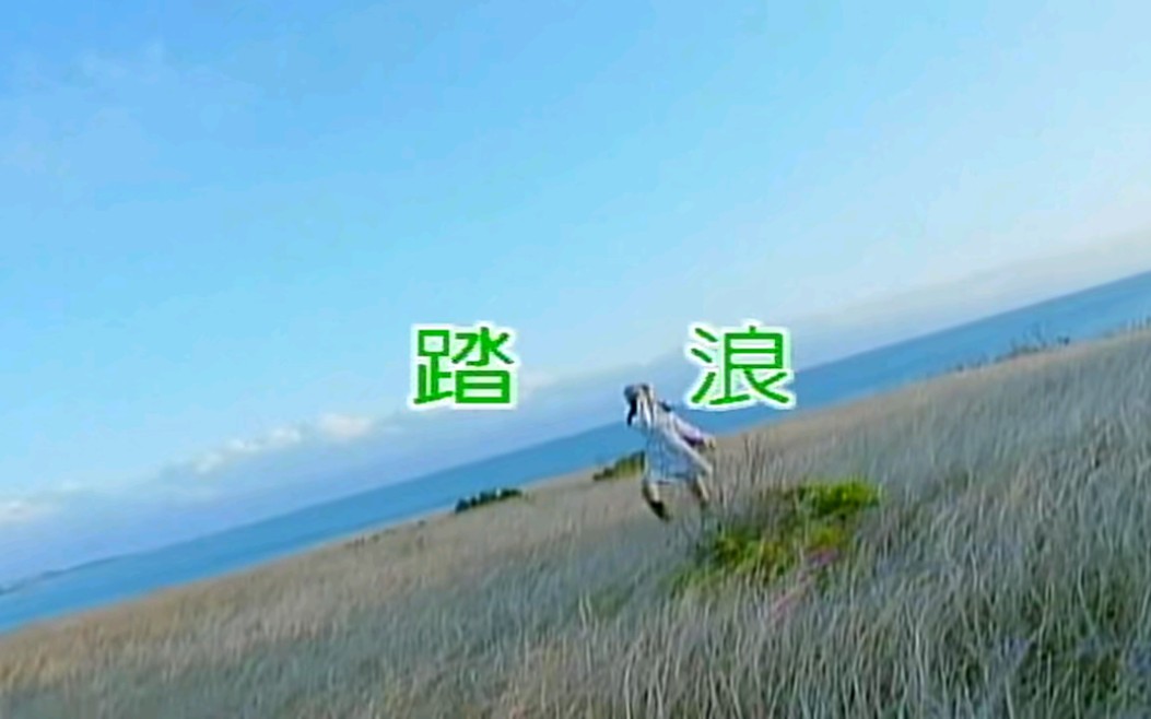 踏浪歌曲(踏浪歌曲歌词)