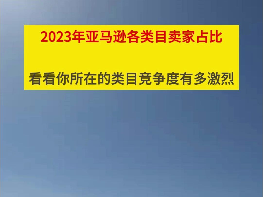 2023年亞馬遜各類目賣家佔比