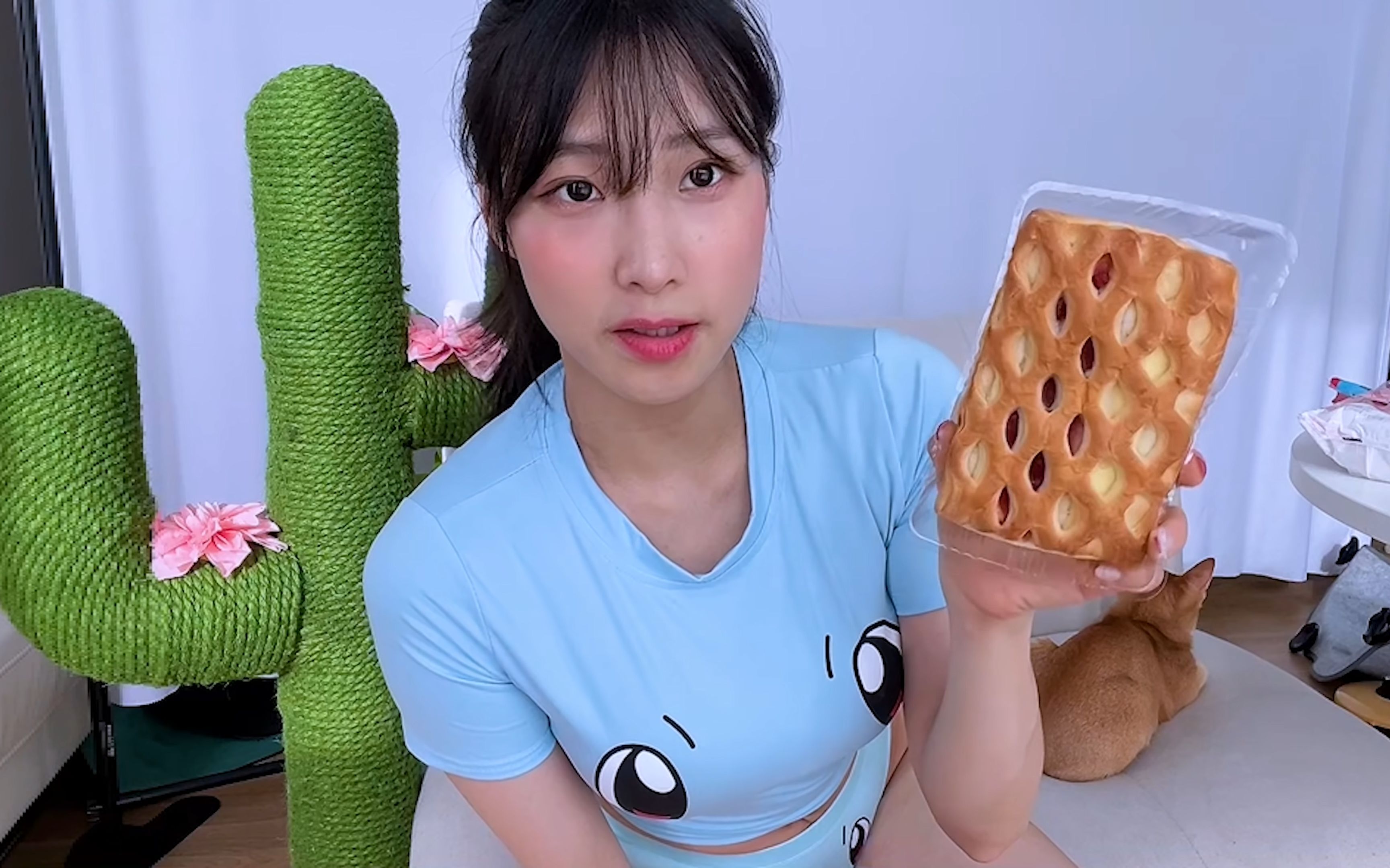 [4k] 明雅的auddk - 杰尼龟明雅 集小卡 吃口袋妖怪的面包! 220316