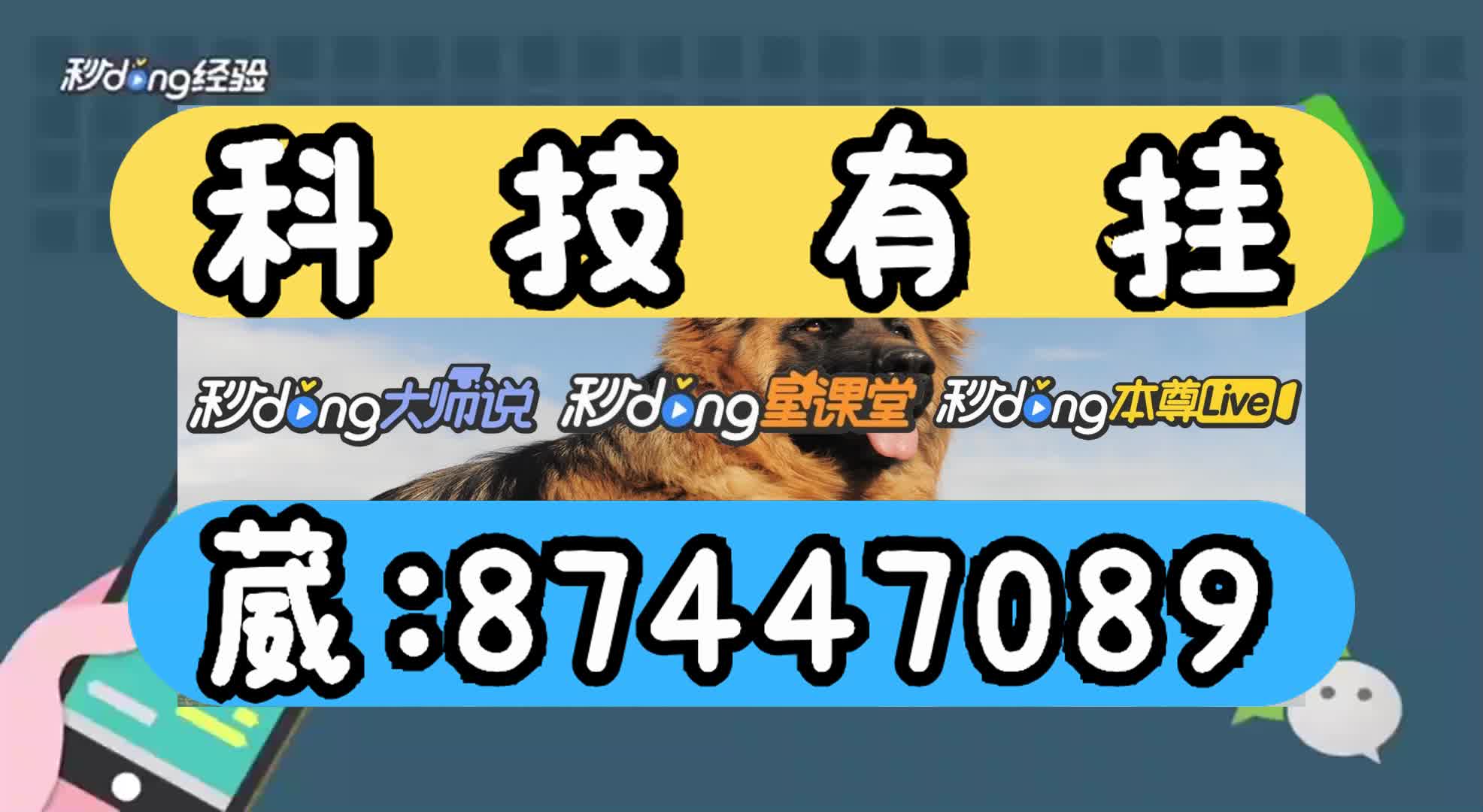 雀神麻将小程序开挂教程